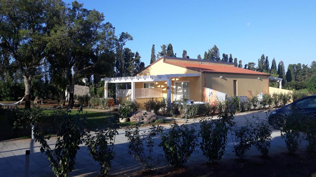 Azienda Agricola I Peperoncini Alghero Dış mekan fotoğraf