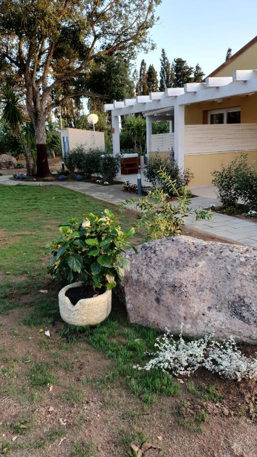 Azienda Agricola I Peperoncini Alghero Dış mekan fotoğraf